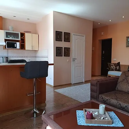 Tiltu Vacation Apartament *